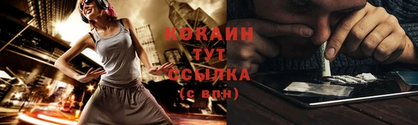 ПСИЛОЦИБИНОВЫЕ ГРИБЫ Алзамай