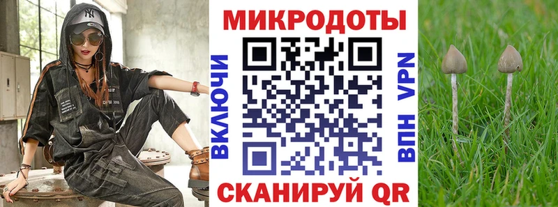 Псилоцибиновые грибы Cubensis  OMG tor  Николаевск 