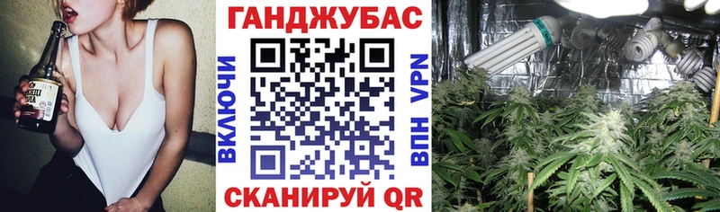 дарнет шоп  кракен зеркало  Шишки марихуана Bruce Banner  Николаевск 